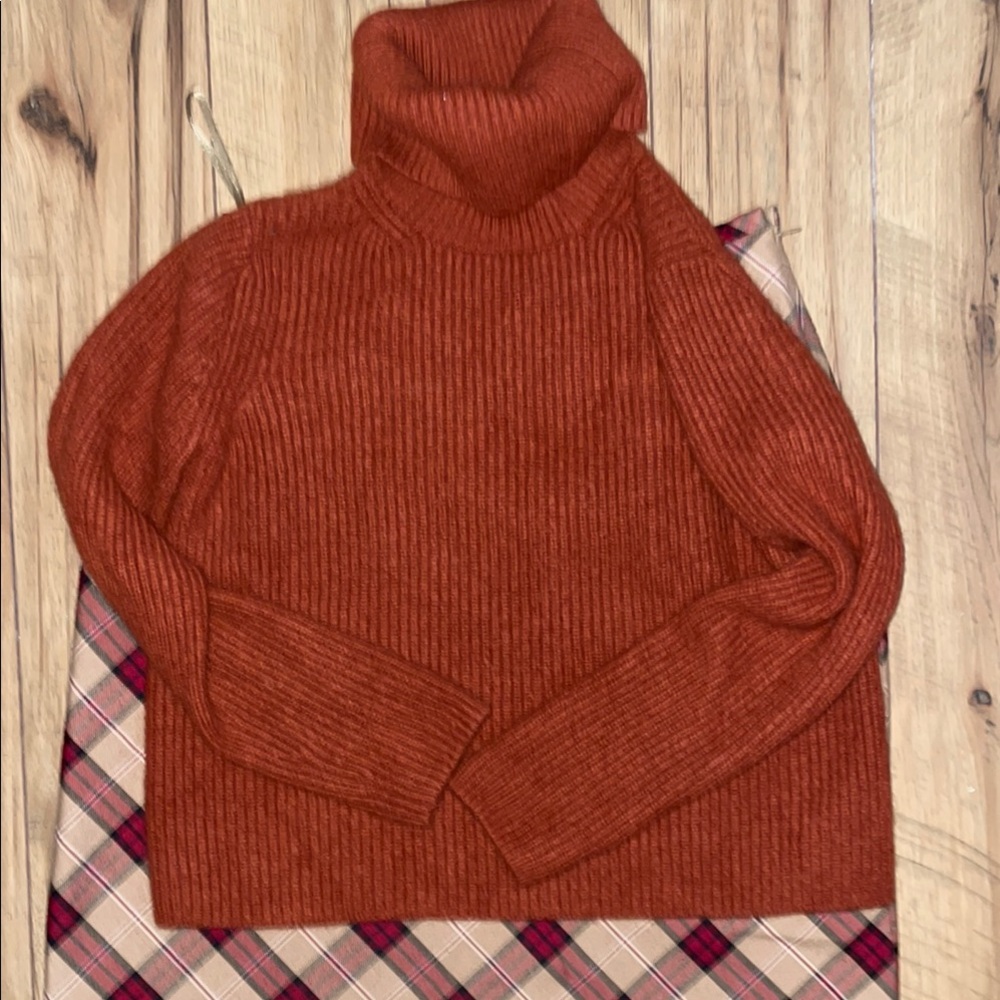 100% Cashmere Women's Turtleneck Ribbed Sweater - Rust